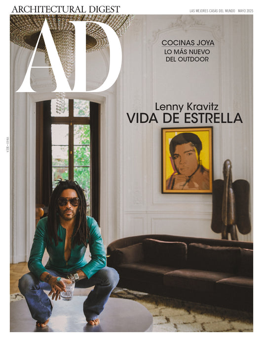 AD Mayo, Lenny Kravitz